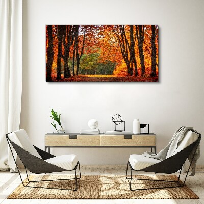 Autumn tree alley Print on canvas