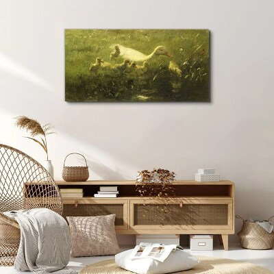 Animals duck grass nature Canvas Wall art