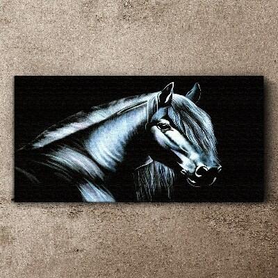 A dark horse in the glow of light Print on canvas