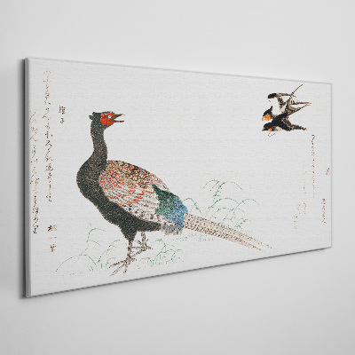 Peacock dance in spring landscape Print on canvas