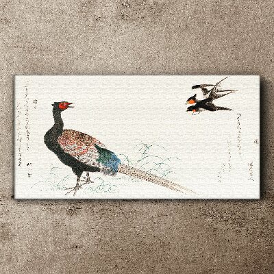 Peacock dance in spring landscape Print on canvas