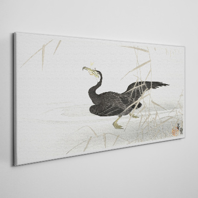 Black cormorant among the reeds Print on canvas