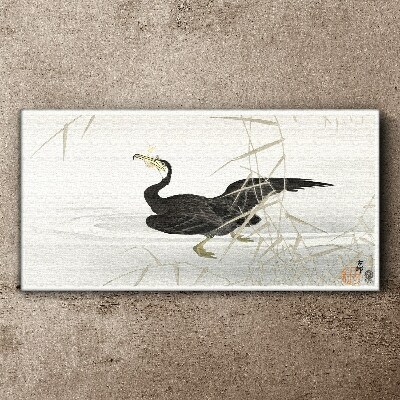 Black cormorant among the reeds Print on canvas