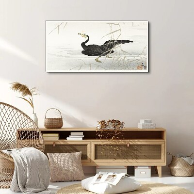 Black cormorant among the reeds Print on canvas