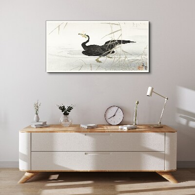 Black cormorant among the reeds Print on canvas