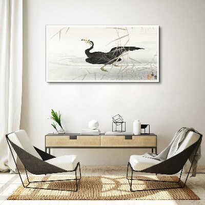 Black cormorant among the reeds Print on canvas