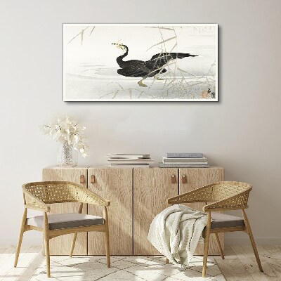 Black cormorant among the reeds Print on canvas