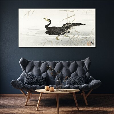 Black cormorant among the reeds Print on canvas