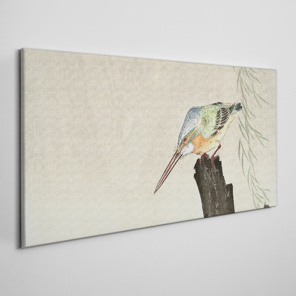 Animals birds kingfisher Canvas Wall art