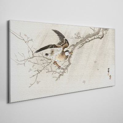 Animals birds branch Canvas Wall art