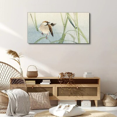 Animal bird sparrow Canvas Wall art