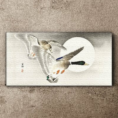 Animals birds ducks Canvas Wall art