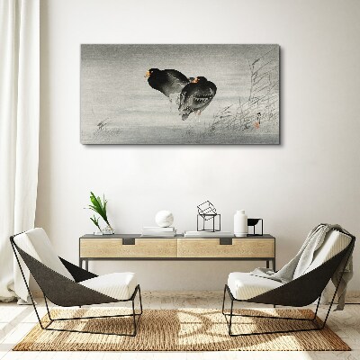 Two ducks on calm water Print on canvas