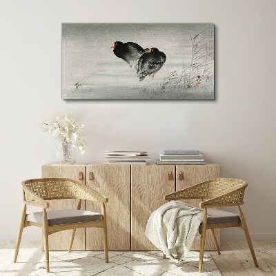Two ducks on calm water Print on canvas