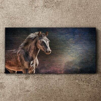 Portrait of a horse on an abstract background Print on canvas