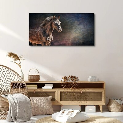 Portrait of a horse on an abstract background Print on canvas