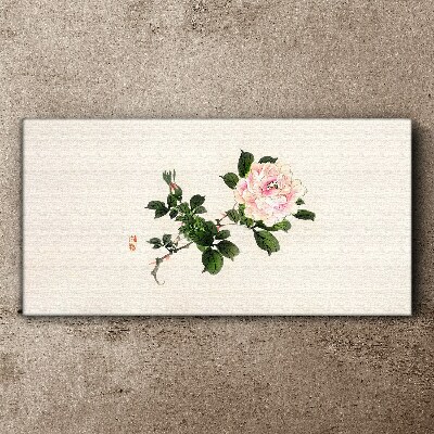 Peony flower on a light background Print on canvas