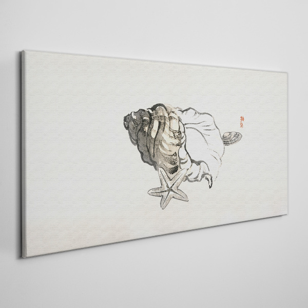 Sea star shell Print on canvas