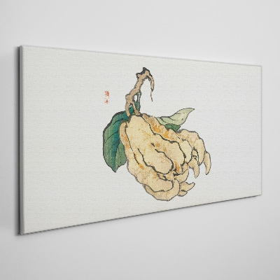 Lemon tree on white background Print on canvas