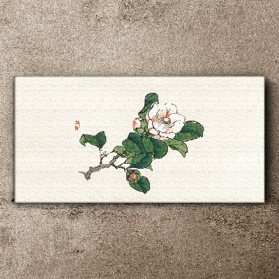 Magnolia flower on a branch Print on canvas