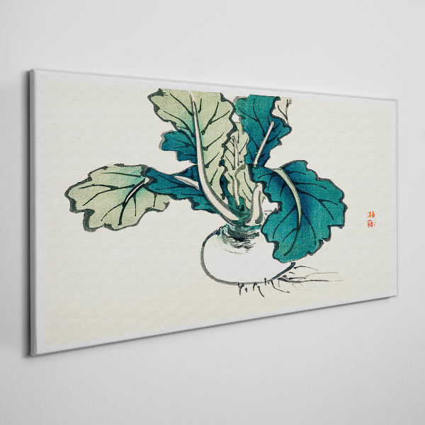 Green radish on a light background Print on canvas