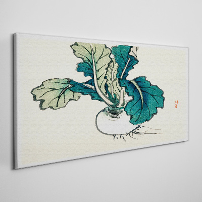 Green radish on a light background Print on canvas