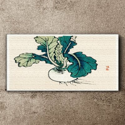 Green radish on a light background Print on canvas
