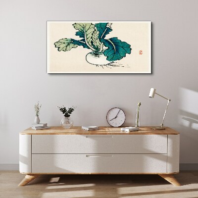 Green radish on a light background Print on canvas