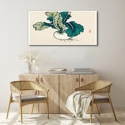 Green radish on a light background Print on canvas
