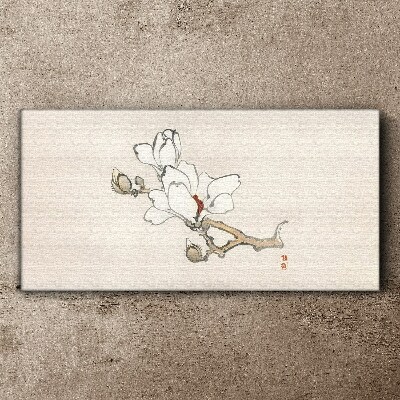 Magnolia flowers on a light background Canvas wall art