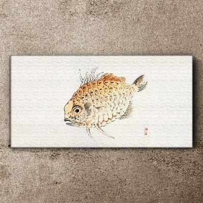 Gold fish on white background Print on canvas
