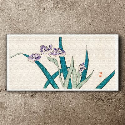 Iris flowers on a light background Canvas wall art