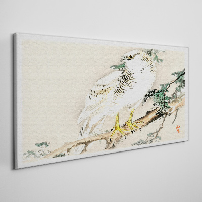Falcon on a branch Print on canvas
