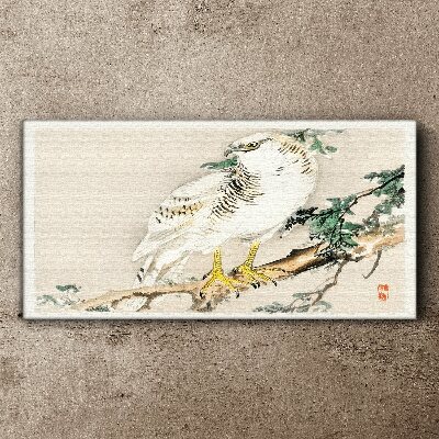Falcon on a branch Print on canvas