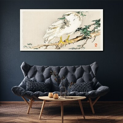 Falcon on a branch Print on canvas