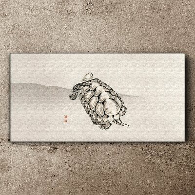 Turtle on a minimalist background Print on canvas
