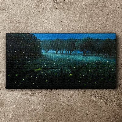 Night lights in the forest Canvas wall art