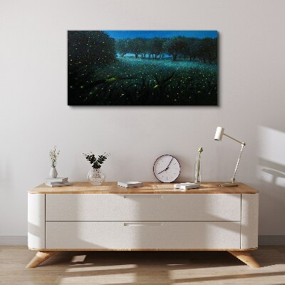 Night lights in the forest Canvas wall art