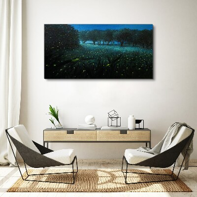 Night lights in the forest Canvas wall art