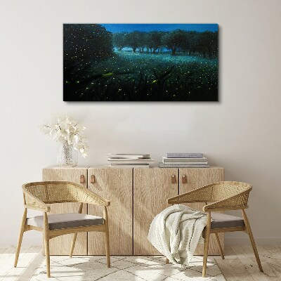 Forest night fireflies Canvas Wall art