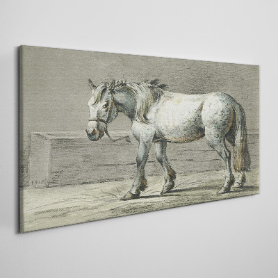 Walking horse in shades of gray Print on canvas