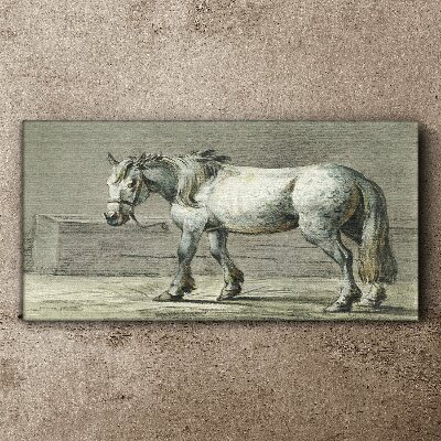 Walking horse in shades of gray Print on canvas