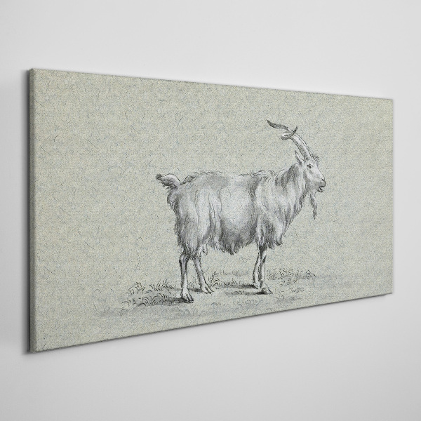 Goat on a gray paper background Print on canvas