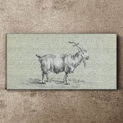 Goat on a gray paper background Print on canvas