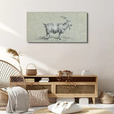 Goat on a gray paper background Print on canvas