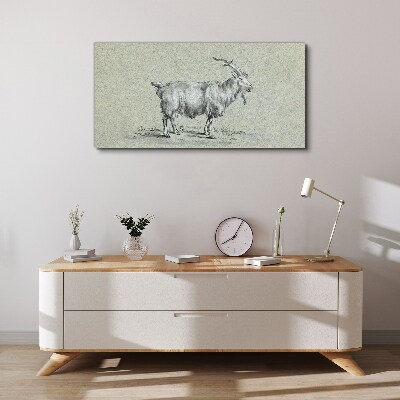 Goat on a gray paper background Print on canvas