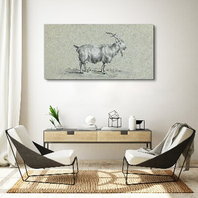 Goat on a gray paper background Print on canvas