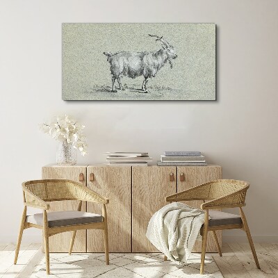 Goat on a gray paper background Print on canvas
