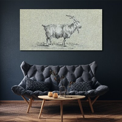Goat on a gray paper background Print on canvas