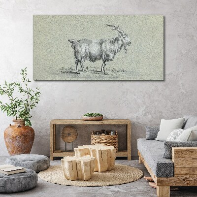 Goat on a gray paper background Print on canvas